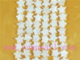 five strands white pentacle shell strands